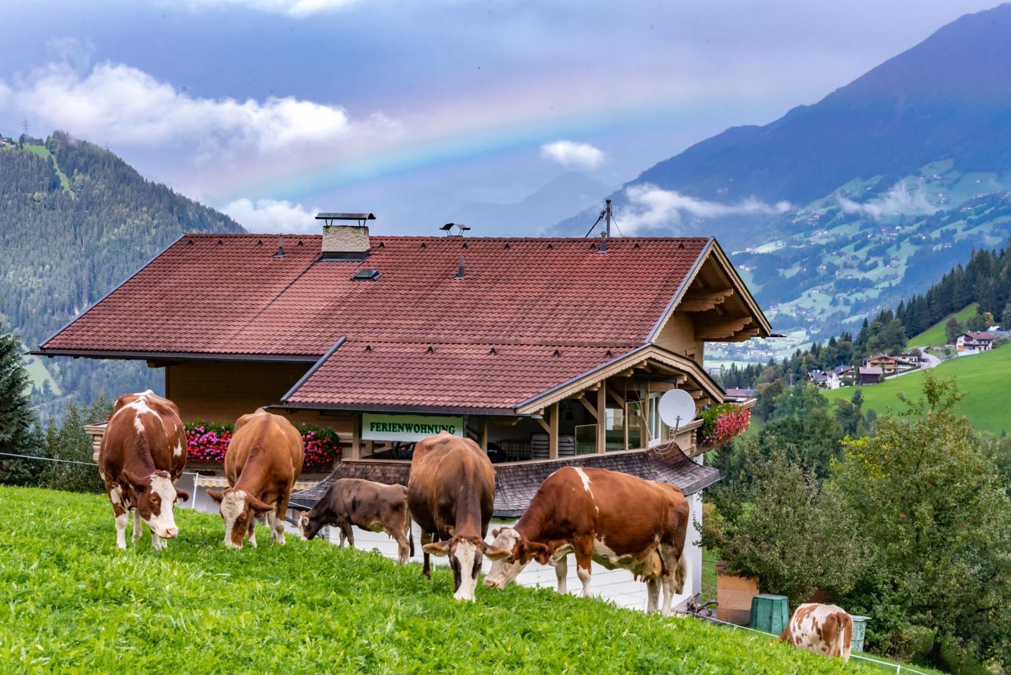 Ferienwohnung Ausblick Zillertal Hainzenberg Exterior foto